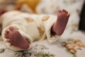 Noémy SMECICAS - SMECICAS NOEMY